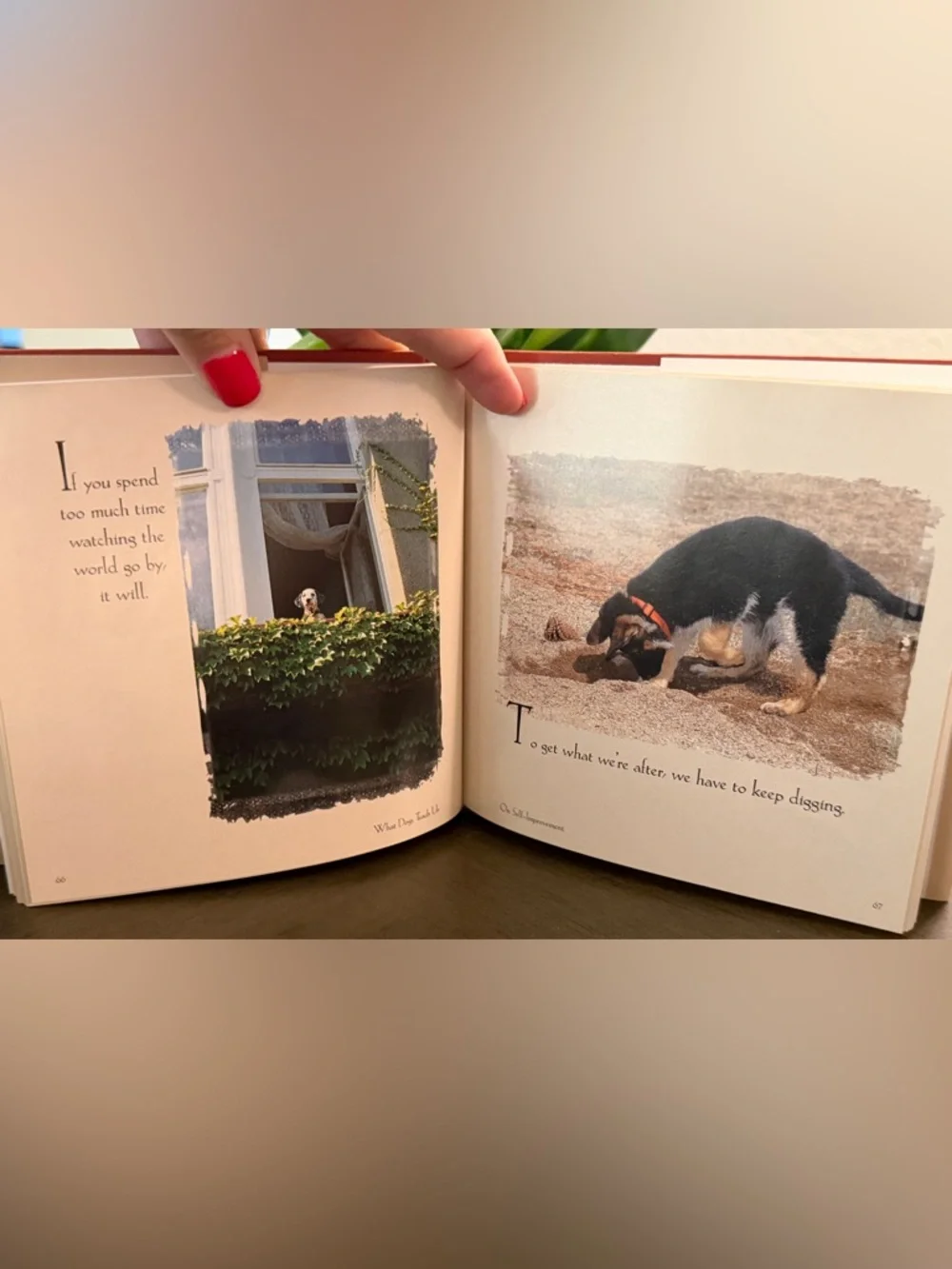 3 Dog Books/Bookmark~Love of Goldens, 101 Uses for a Golden, What Dogs Teach Us